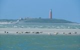 Le Isole Frisoni Occidentali