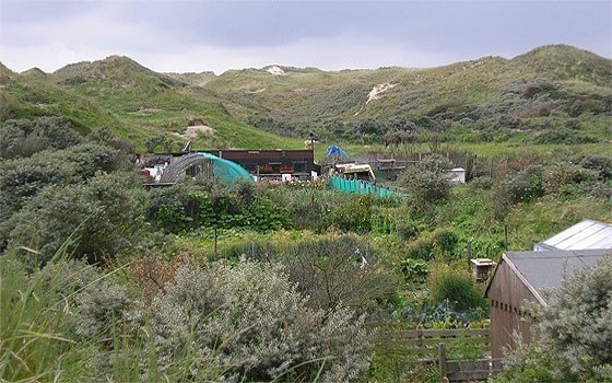 small allotments of people in the dunes