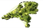 Green conference cities