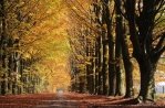 Drenthe