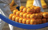 Regulaciones para el transporte de queso