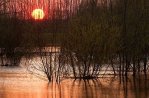 Parque Nacional De Biesbosch