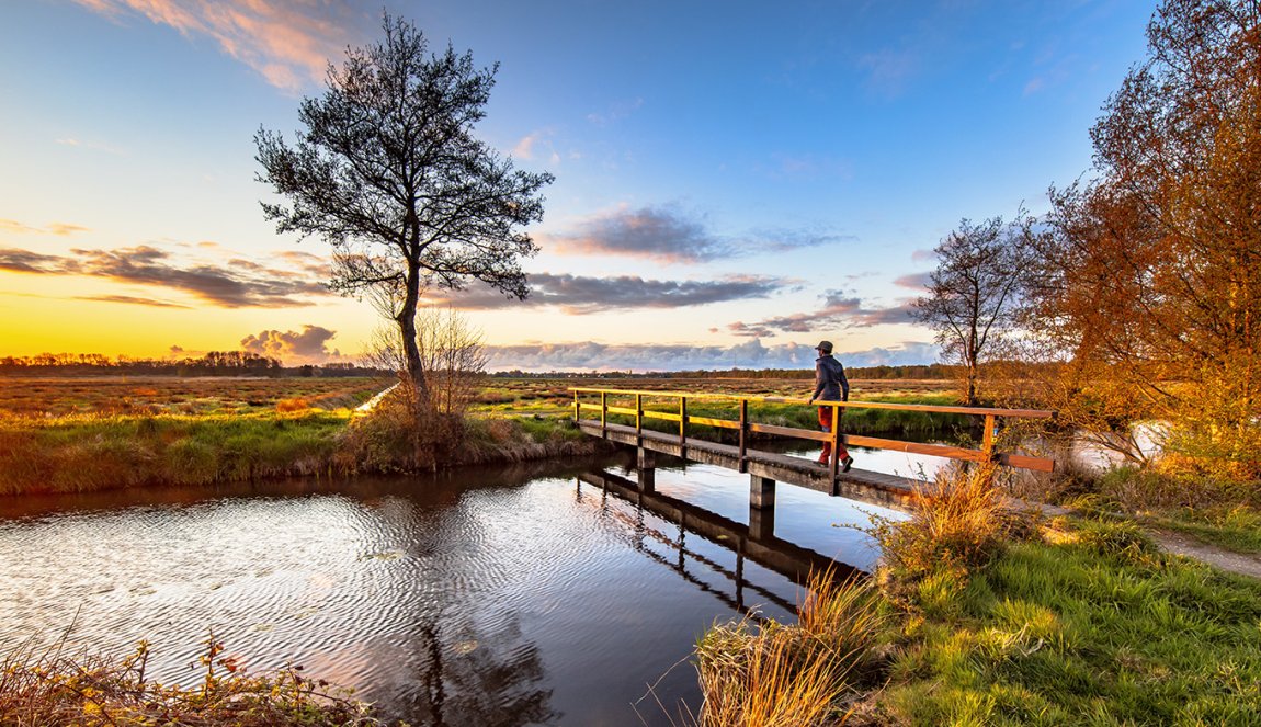 Walker crossing bridge over river in dutch countryside National Park landscape the Drentsche Aa
