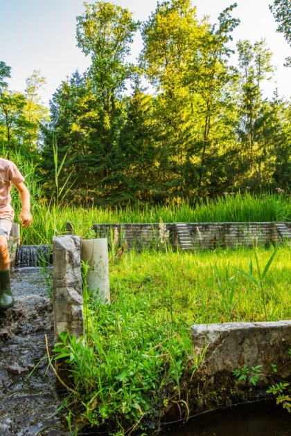 Kids playing at Waterloopbos Noordoostpolder