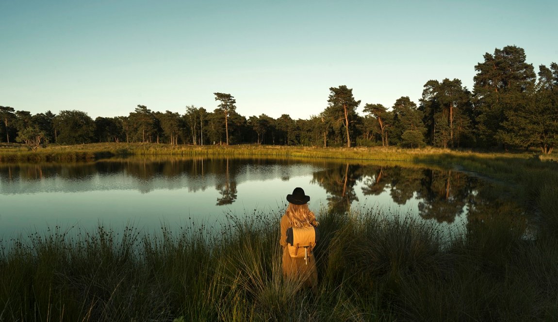Women watching over Nationaal Park De Maasduinen