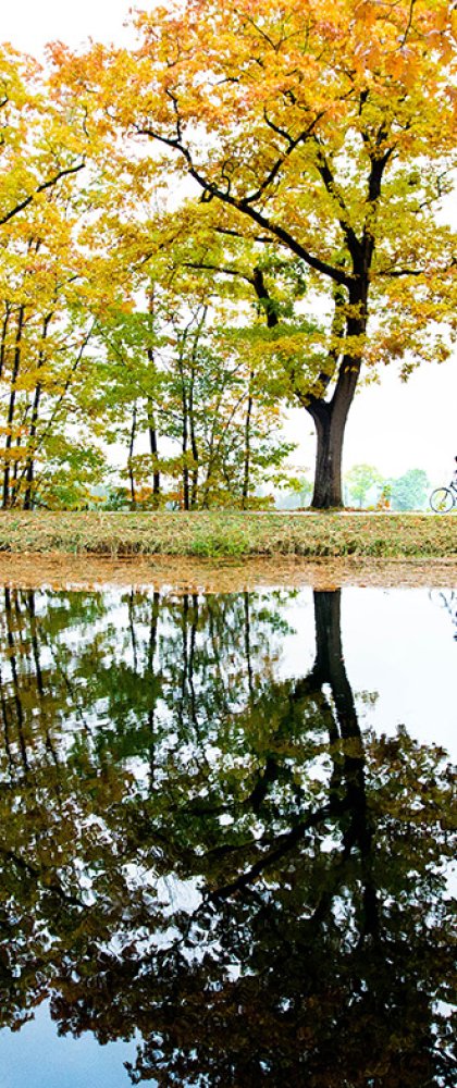 Cyclist through the forest in autumn colors with reflection in the water