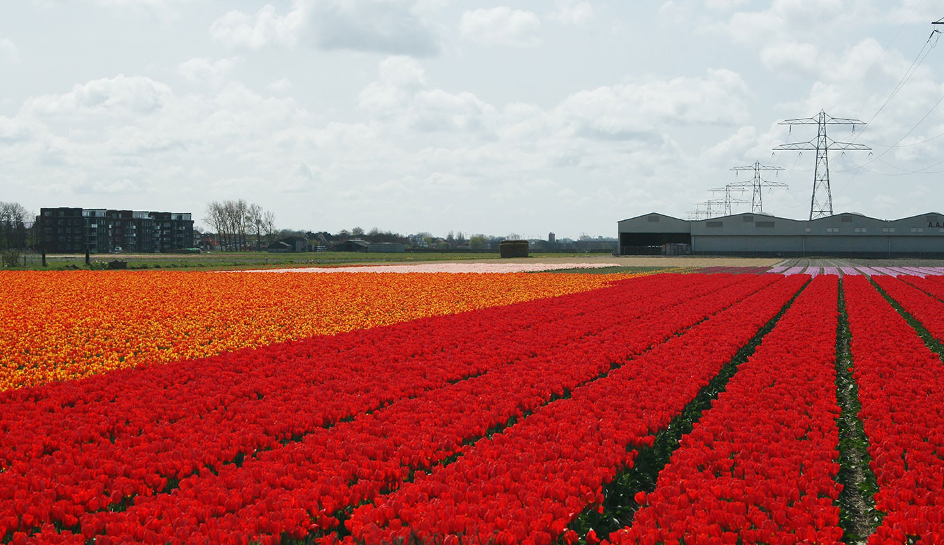 © Cor Weggelaar © Cor Weggelaar