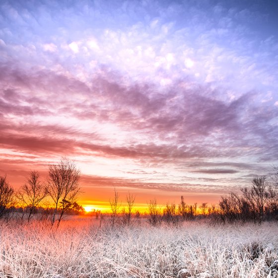 Sunrise in winter at National park Groote Peel between the provinces of Limburg and North Brabant