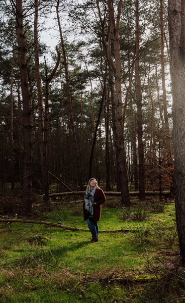 Van Gogh Drenthe in a forest