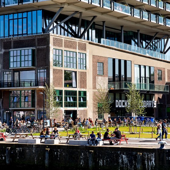 Quay of the Fenix Food Factory Rotterdam