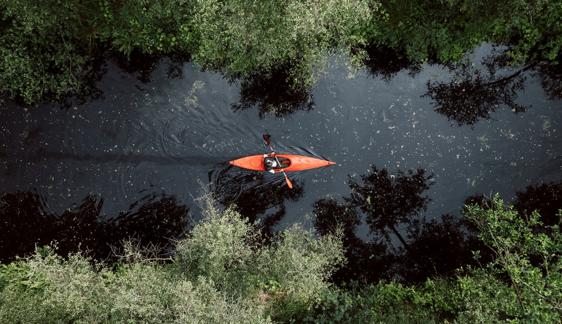 Kayaking in the Biesbosch 