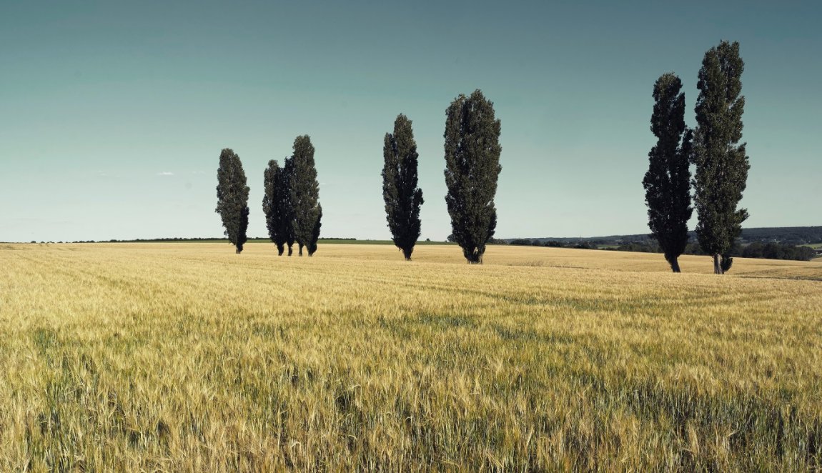 De Eyser Plantage, beschermd cultuurlandschap tussen Wittem en Eys