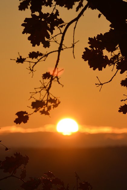 View in Gulpen in Limburg  