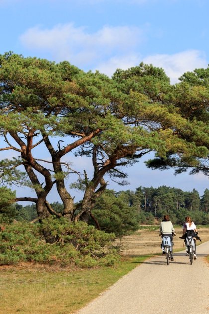 Two people cycling in National parc De Hoge Veluwe