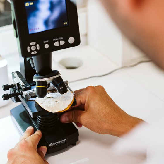 Studio Hendrikx Looking along with Bob in a mircoscope