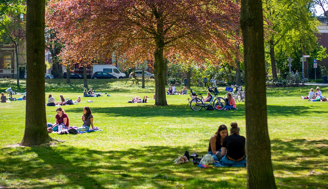 People sitting and have a picnic in a city park in Zwolle