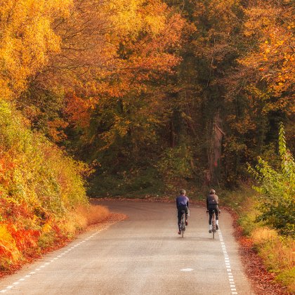 Cyclists in South Limburg cycle through autumn forest