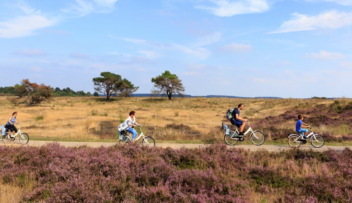 People cycling on white bikes from National parc De Hoge Veluwe People cycling on white bikes from National parc De Hoge Veluwe