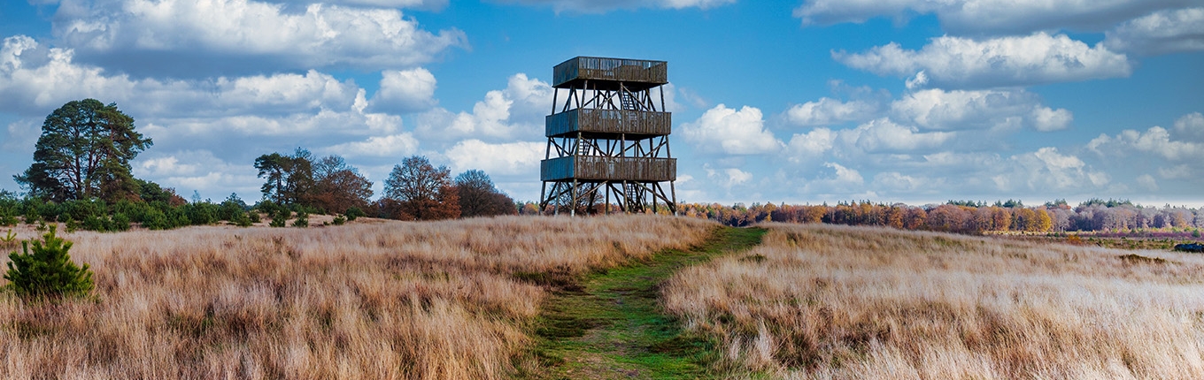 Publicly accessible lookout tower in Het Aekingerzand part of the Nationaal Park Drents-Friese Wold