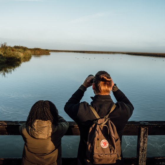 Couple looks over the water with binoculars