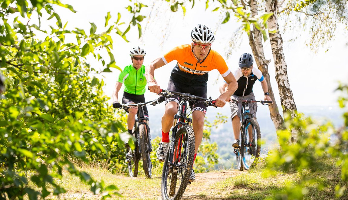 Group of mountain bikers on the road in a green trail near the Sint Pietersberg Mountains