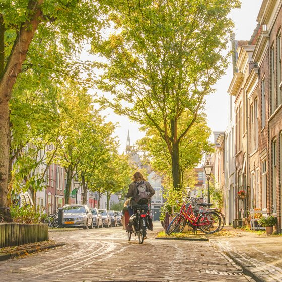 Cyclist with cargo bike in Leiden