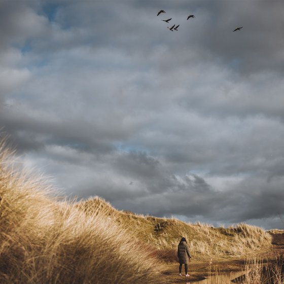 Dune landscape on Texel with looming sky