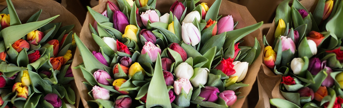 Focus on tulips at a market Focus on tulips at a market