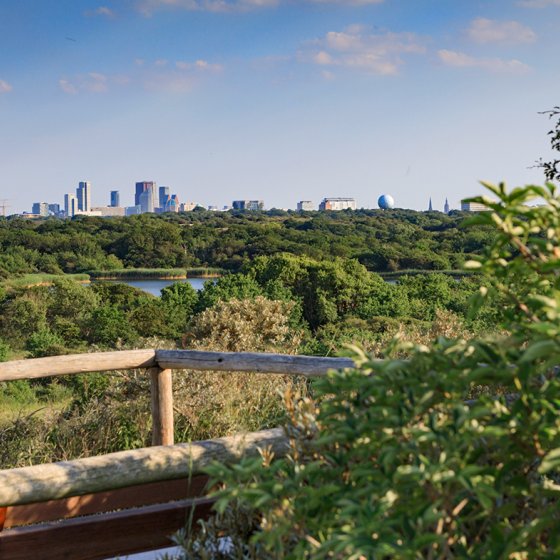 Meijendel view on the city of The Hague