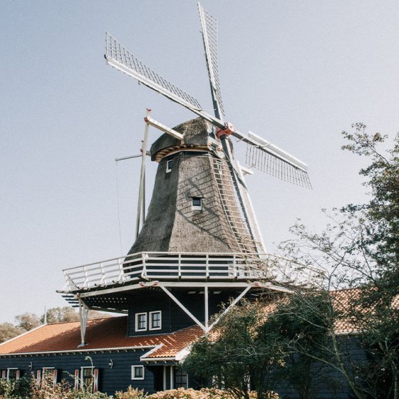 A classic Dutch windmill with a thatched roof and white sails, set against a clear sky, surrounded by greenery.
