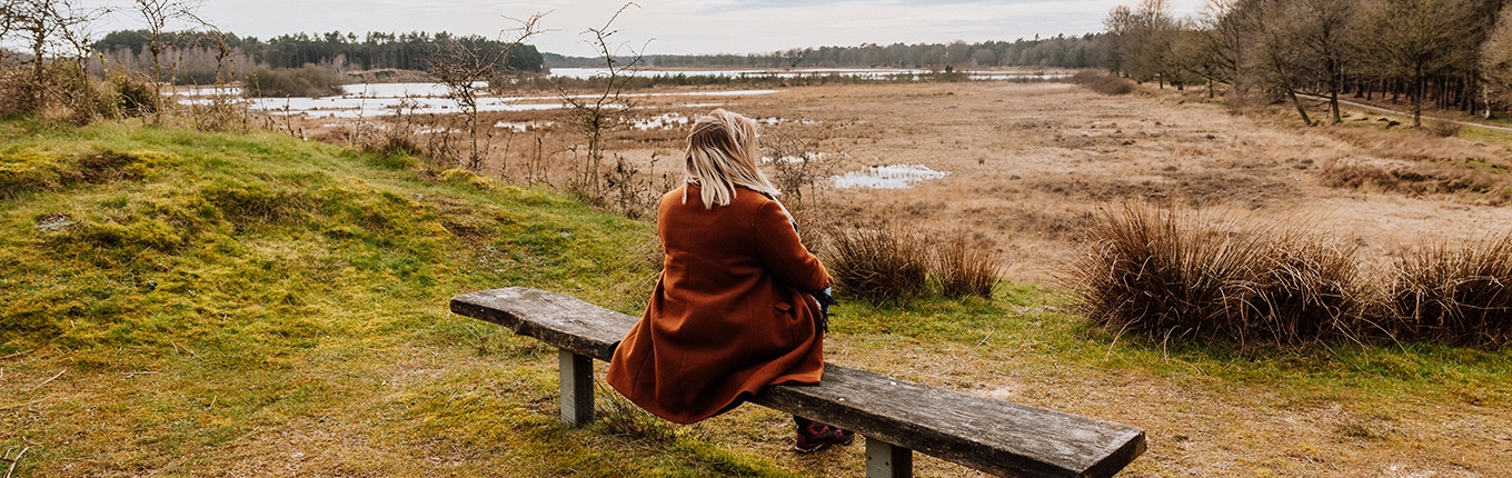 Van Gogh Drenthe sitting on bench peat bog Van Gogh Drenthe sitting on bench peat bog