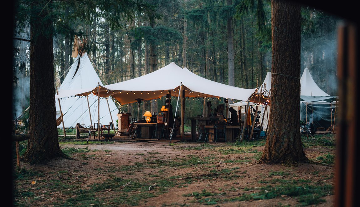 Spend the night in dense forests in the middle of nature in Drenthe
