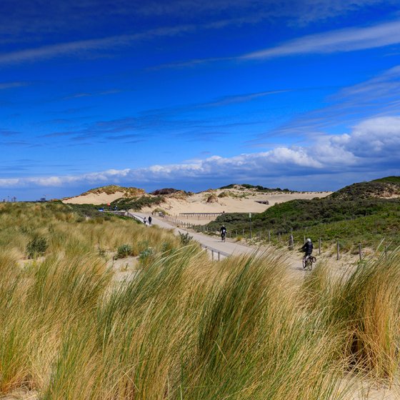Cycling through the dunes