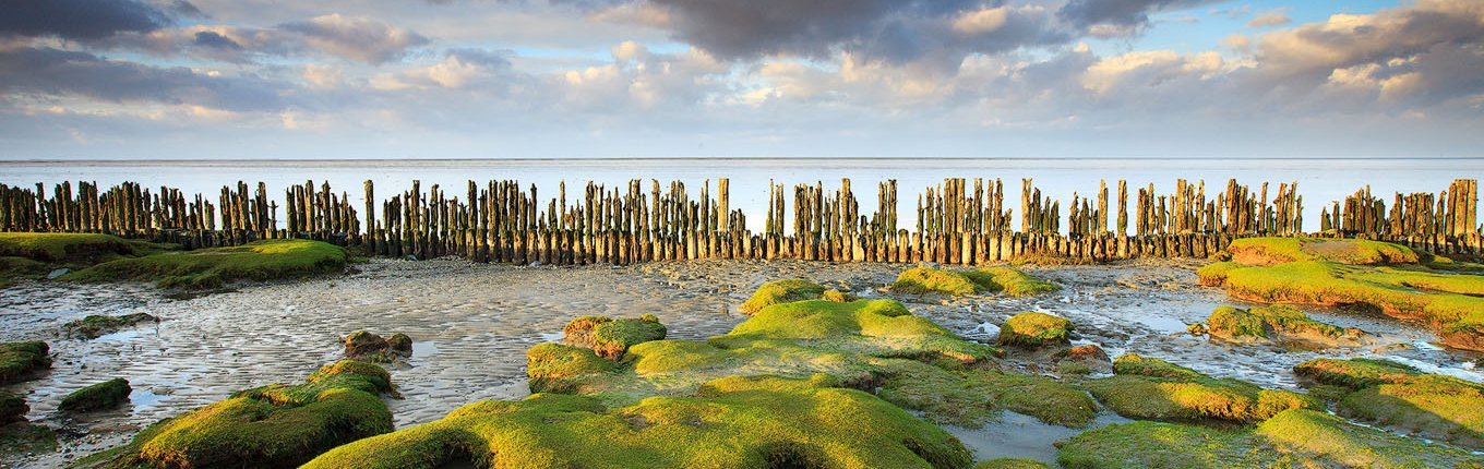 Groningen wadden sea coast at low tide Groningen wadden sea coast at low tide