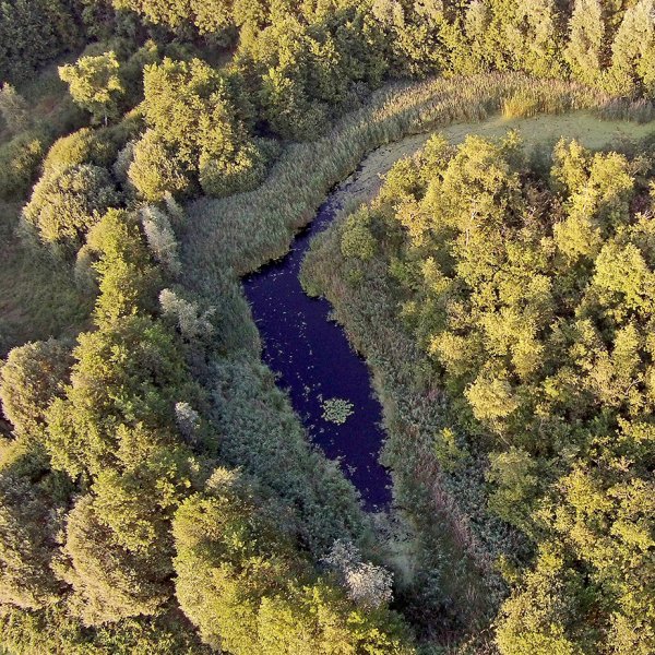 Pingo Noardburgum Friesland