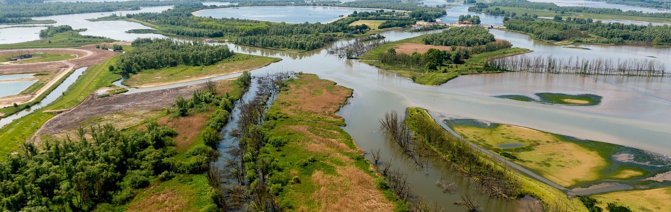 National Park the Biesbosch