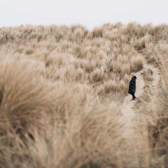 Lady enjoys the dunes at Hargen Aan Zee Noord-Holland