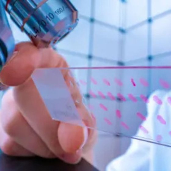 Researcher working with a laboratory plate used in MIMETAS organ-on-a-chip technology