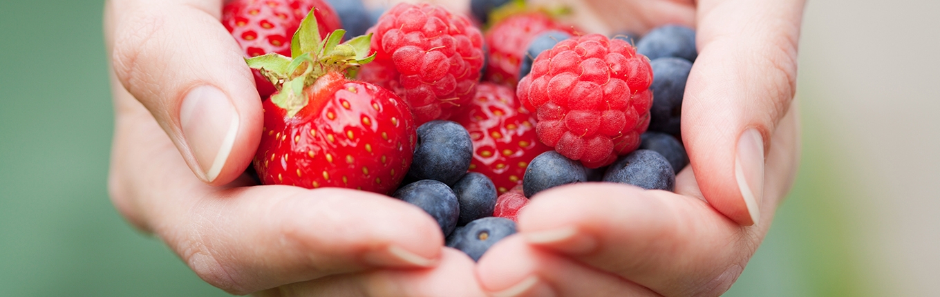 Hands full of picked fresh fruit