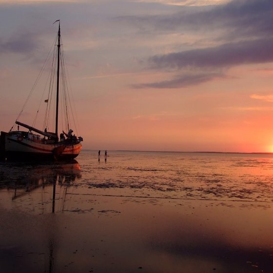 Wadden sea evening sailing trip sunset