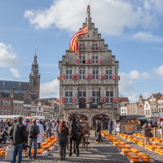 Gouda cheesemarket