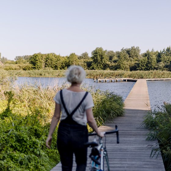 Lady with bicycle on volder to Lauwersmeer