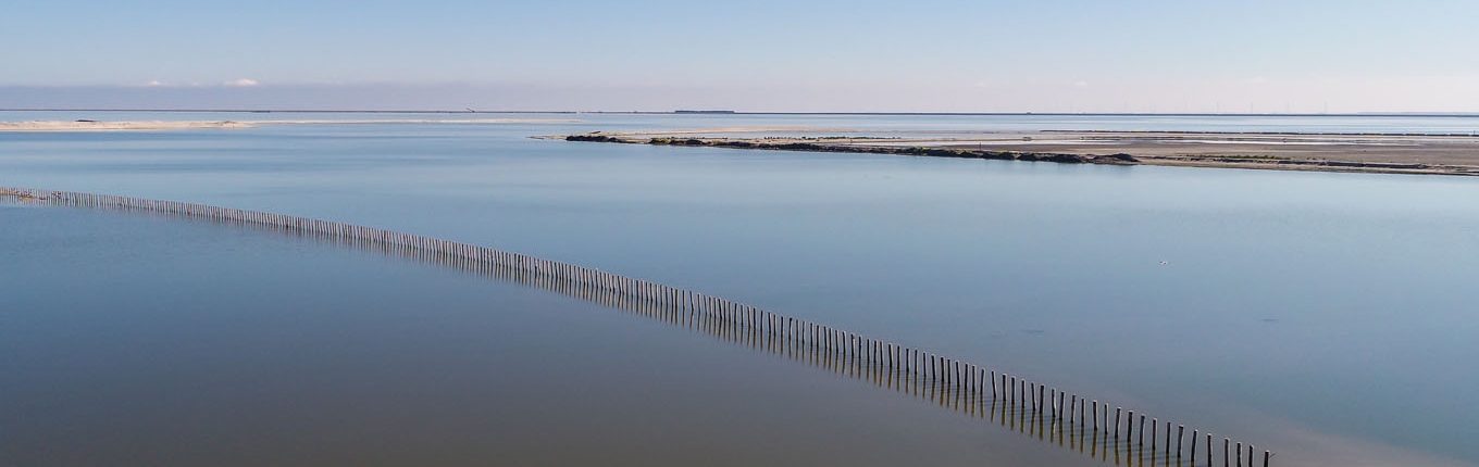 Marker Wadden near Lelystad Marker Wadden near Lelystad