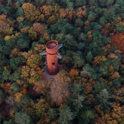 Bosbergtoren Appelscha in fall in Friesland Bosbergtoren Appelscha in fall in Friesland