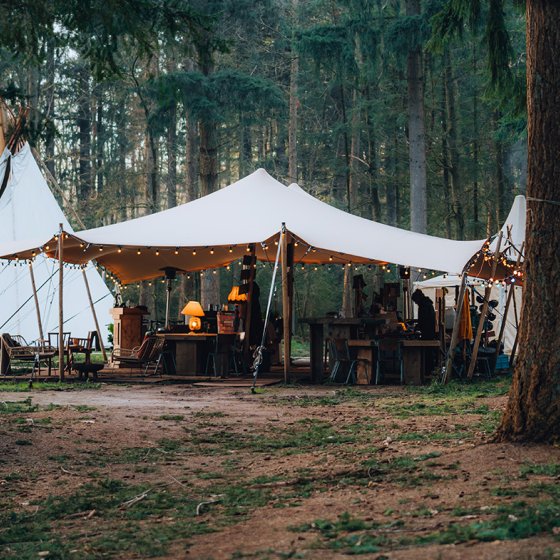 Spend the night in dense forests in the middle of nature in Drenthe
