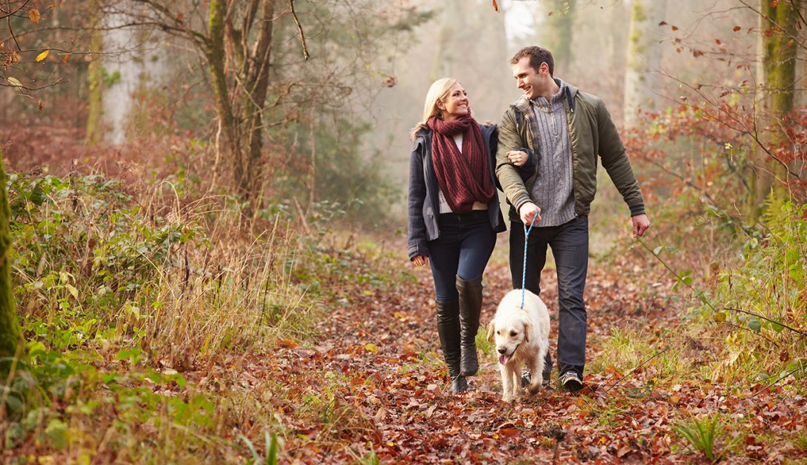 Couple walking the dog in the woods, autumn Couple walking the dog in the woods, autumn