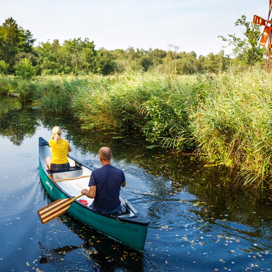 Canoeing past windmills and reed beds in National Park Weerribben-Wieden