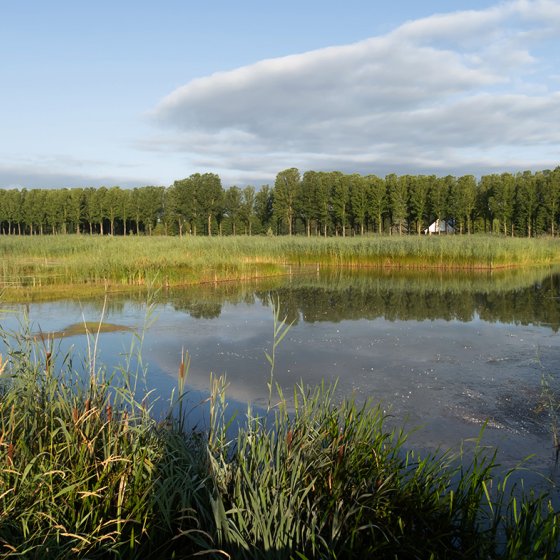 Park Lingezegen Arnhem