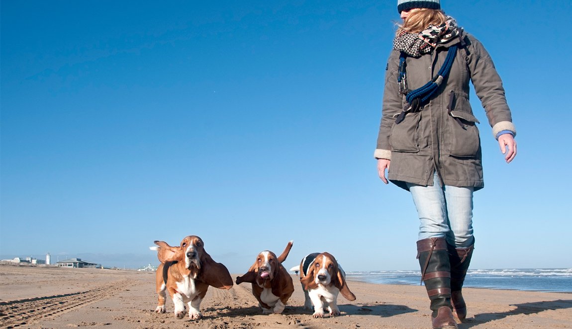 Woman walking on the beach with 3 dogs