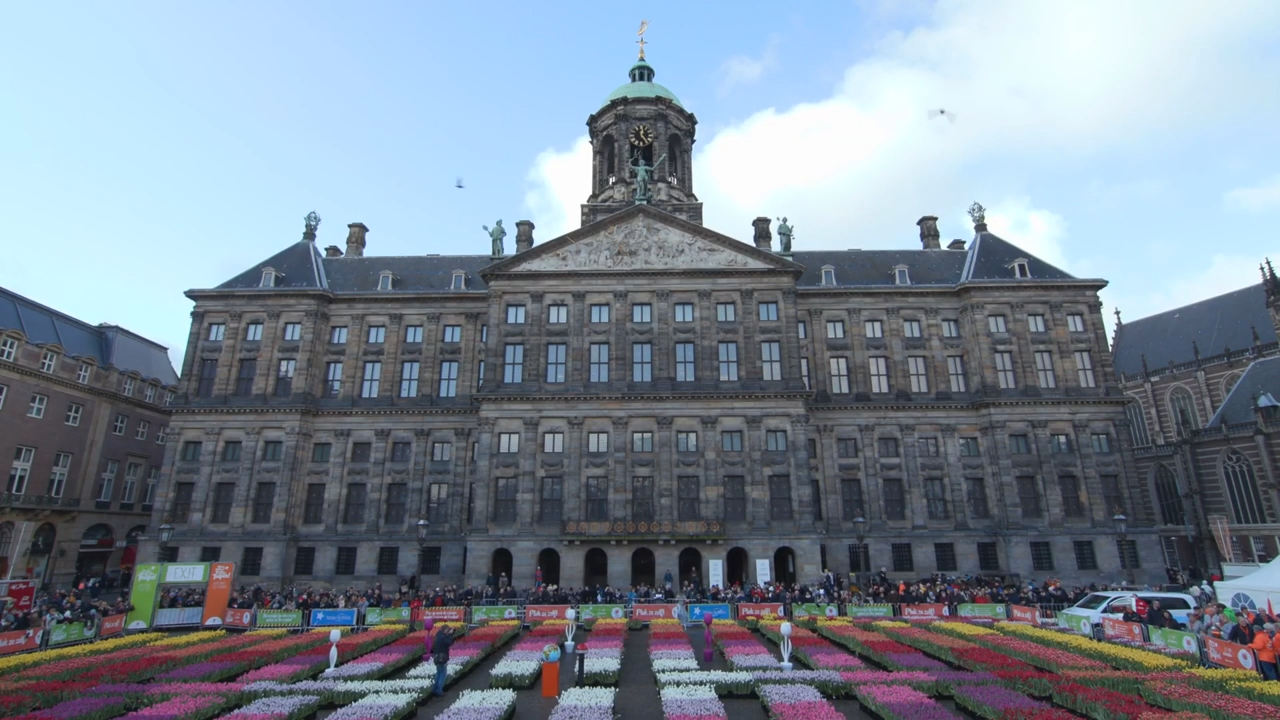 National Tulip Day 2022